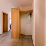 Bergrose